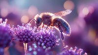 Honey bee covered in pollen collecting nectar from purple wildflower in morning sunlight with bokeh background, macro nature photography showing delicate wings and fuzzy body.