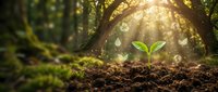 Young green seedling sprouting from rich soil in magical forest with golden sunlight rays and floating particles creating enchanting growth concept.