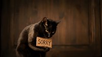 Adorable black kitten wearing sorry sign around neck sitting on wooden floor against rustic background expressing guilt and apology for pet mischief.
