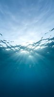 Underwater sunbeams penetrating deep blue ocean water creating dramatic light rays through surface waves for marine and aquatic themed designs.