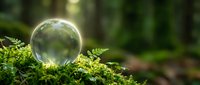 Transparent glass sphere resting on vibrant green moss in natural forest setting with soft bokeh background for environmental and nature concepts.