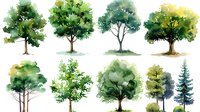 Watercolor trees collection with green foliage on white background, hand drawn botanical elements for nature and landscape design projects.