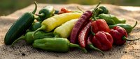 Fresh colorful hot chili peppers variety on rustic wooden surface. Spicy ingredients for cooking, seasoning and culinary preparations on natural background.
