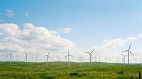 Wind turbines dotting vast green field under blue sky with white clouds, representing renewable energy and sustainable power generation for environmental projects.