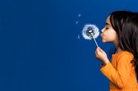 Young Asian girl in orange sweater blowing dandelion seeds against deep blue background, creating magical floating effect with white fluffy seeds in motion.