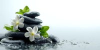 Balanced stack of black spa stones with fresh white plumeria flowers and green leaves on wet surface against light background.