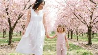 Woman and young girl holding hands in blooming cherry orchard wearing white and pink dresses during spring season for family lifestyle and nature themes.