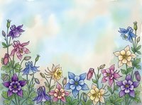 Watercolor columbine flowers border in purple, blue, pink and yellow on soft pastel sky background with copy space for text.