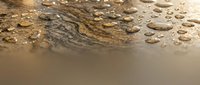Water droplets on natural wood grain surface with golden lighting creating organic texture patterns for spa wellness and nature design concepts.