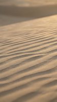 Golden sand dunes with natural wind-carved ripple patterns creating textured desert landscape in warm sunlight for travel and nature backgrounds.