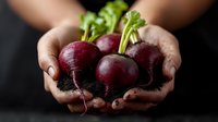 Fresh harvested organic beets with green tops in dirty hands against dark background, farm to table concept, healthy eating and gardening.