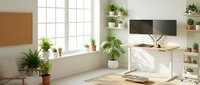 Modern home office workspace with dual monitors on adjustable standing desk, potted plants, natural light from large windows, cork board, and organized shelving for remote work setup.
