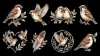Sparrow birds isolated on transparent background, ready for t-shirt design, clipart, stickers, sublimation and print-on-demand projects.
