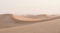 Vast golden sand dunes stretch across desert landscape with soft rippled textures and rolling hills under hazy sky creating serene arid wilderness scene.
