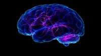 Glowing blue and purple brain neural network visualization showing detailed neurological connections and pathways against black background for medical design.