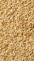 Raw sesame seeds scattered densely creating natural texture pattern for healthy cooking and baking ingredient background.