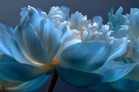 Ethereal blue lotus flower with delicate translucent petals glowing against dark background, creating serene and mystical atmosphere.