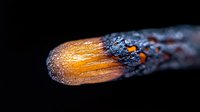Burning match head with glowing orange flame tip against black background, capturing moment of ignition in macro photography.