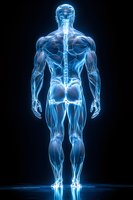 Glowing blue anatomical male figure showing muscular and skeletal systems from behind on black background, medical visualization for healthcare education.