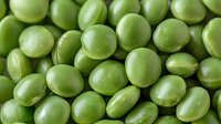 Fresh green peas macro background, natural organic vegetables close up view, healthy food pattern texture for cooking and nutrition concept.