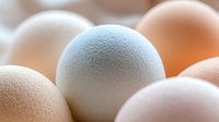 Fresh farm eggs in soft pastel colors of white, beige and brown arranged in gentle composition with selective focus creating dreamy mood for food photography.