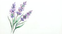 Watercolor lavender flowers with green stems and leaves isolated on white background for aromatherapy, botanical illustration, and natural wellness designs.