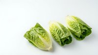 Fresh romaine lettuce hearts cut in half showing crisp green leaves and white stems on clean white background for healthy cooking and salad preparation.