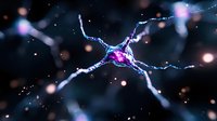 Glowing neuron cell with dendrites and axons in deep blue and purple colors against dark background, scientific visualization showing neural connections.