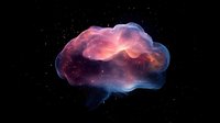Cosmic brain shape with vibrant pink and blue nebula colors against starry black background, depicting mind consciousness and creative thinking in space theme.