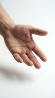 Open male hand palm up gesture isolated on white background showing fingers and skin texture for design concepts.