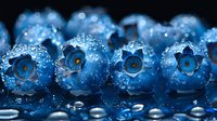 Fresh blueberries covered in sparkling water droplets on reflective surface with bokeh lighting effects for healthy food and nutrition concepts.