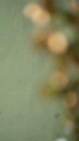 Abstract blurred bokeh lights on soft green background creating dreamy atmospheric effect for design projects and creative presentations.