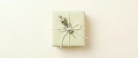 Minimalist gift box wrapped in cream paper with natural twine and eucalyptus leaf on neutral beige background for special occasions and celebrations.