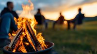 Campfire with glowing flames and logs in foreground, blurred group of people gathered around fire at sunset in outdoor field setting for camping and bonfire events.
