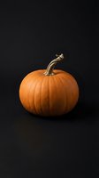 Fresh orange pumpkin with curved stem isolated on black background for autumn harvest, Halloween decorations and seasonal cooking projects.