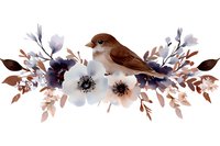 Brown sparrow perched on delicate floral arrangement with white anemones, navy blue flowers and copper leaves, watercolor style composition on white background.