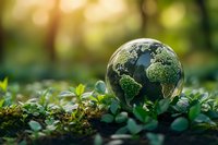 Globe covered in moss and green vegetation surrounded by small plants in natural forest setting, representing environmental conservation and sustainability.