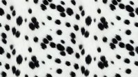 Seamless dalmatian dog fur pattern with black spots on white background for textile design and fashion applications.