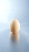 Single fresh chicken egg standing upright on reflective metallic surface with soft lighting and neutral background for culinary and cooking concepts.