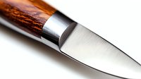 Sharp stainless steel knife blade with polished wooden handle, close-up macro shot showing craftsmanship detail and texture for culinary or hunting equipment.