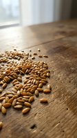 Golden wheat grains scattered on rustic wooden table surface with natural window light creating warm agricultural harvest scene for food photography.