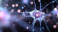 Glowing neuron cell with synaptic connections on dark background with bokeh light effects, showing neural network activity in brain science visualization.