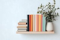 Colorful hardcover books arranged on wooden floating shelf with white ceramic vase containing fresh eucalyptus branches against light wall, modern minimalist decor.
