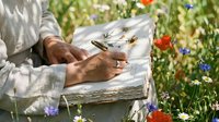 Mature male botanist with dark skin tone documenting wildflower specimens in colorful meadow, holding clipboard and pen for scientific research and field study purposes.