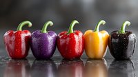 Fresh colorful bell peppers with water drops in row on dark reflective surface, including red, purple, red, yellow and black varieties showing natural produce.