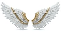 White angel wings with golden accents isolated on transparent background for fantasy design projects and spiritual concepts.