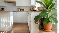 Curious tabby cat peeking behind a fiddle leaf fig plant in a bright modern white kitchen with wooden countertops and natural light.