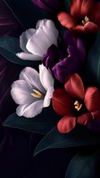 Dramatic floral composition featuring white, purple and red tulips with dark green leaves against black background, creating moody and elegant atmosphere.