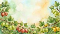 Watercolor illustration of gooseberry branches with red and yellow fruits and green foliage arranged as border frame on soft pastel background, suitable for recipe cards, food packaging, and culinary designs.