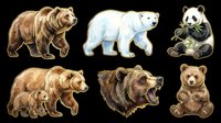 Grizzly bear, polar bear, and panda bear illustrations isolated on transparent background, ready for t-shirt design, clipart, stickers, sublimation, and print-on-demand products.